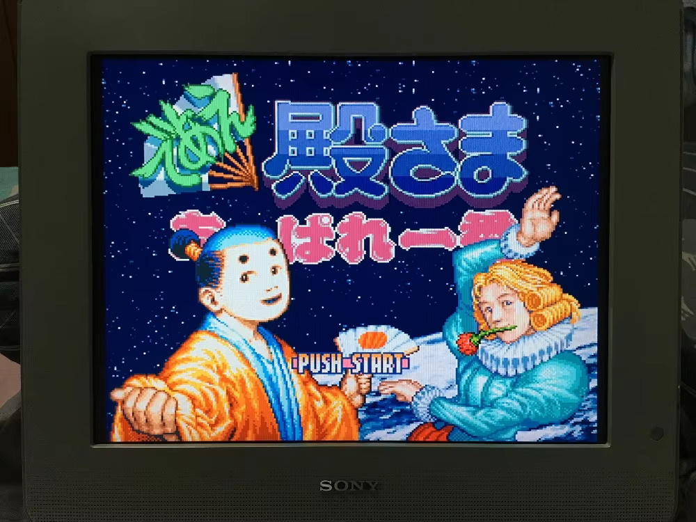 16 bits spelkaarten: 84 IN 1 c - Japanese Lifestyle In Japanese recensie en prijs